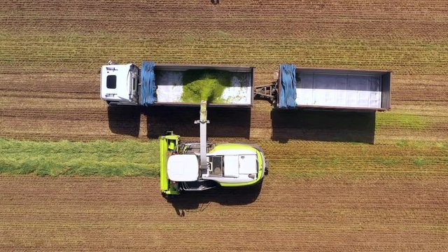 Combine picking and shredding harvested Wheat for Silage and unloads onto a double trailer truck, Aerial footage.