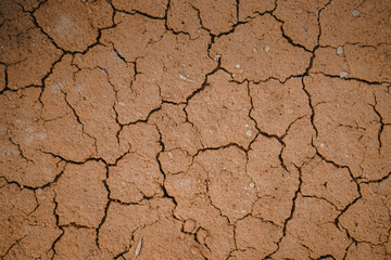 Texture of a dry ground. Red limestone
