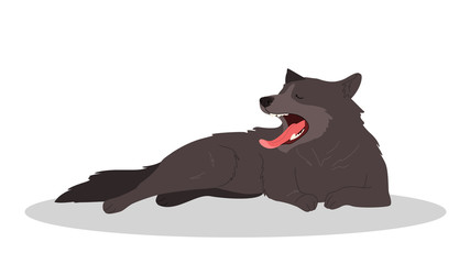 Cute yawning sleepy dog. Purebread shepherd lying
