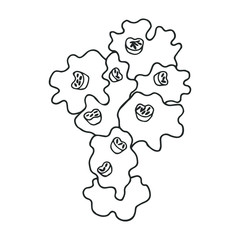 plant lichen. eps10 vector stock illustration. hand drawing. out line
