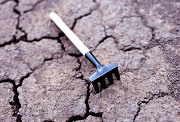 Decorative rake on dry ground.
