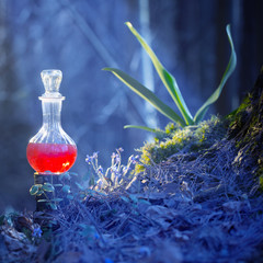 magic potion in bottle in  fairy forest