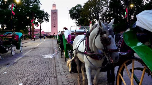 night shot of a queue of horses and carriages waiting for fares near the main market in marrakech, morroco