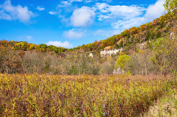 Prairie and wooded bluffs of whitewater park