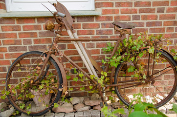 Rostige Fahrrad im Garten
