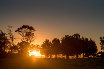 Fototapeta na wymiar Sunset in Karamea, West Coast, New Zealand