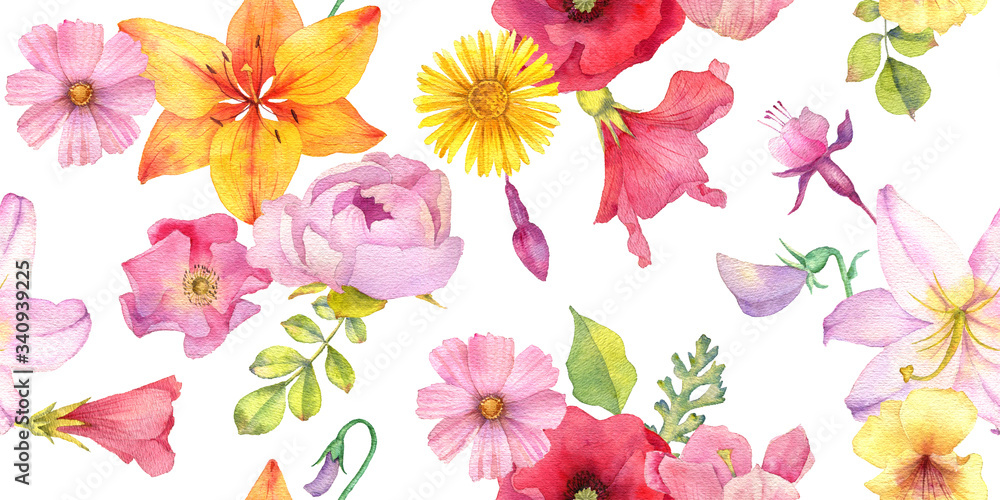 Wall mural watercolor drawing flowers