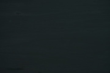 Walls, black wood floors and free space