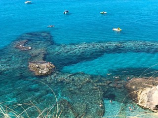 mare