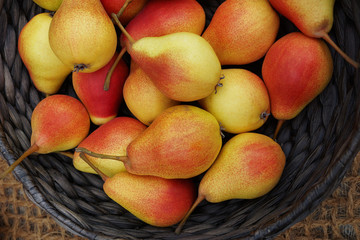 Naklejka na ściany i meble Harvesting, Autumn, Close-up Pears, Background, Selective focus