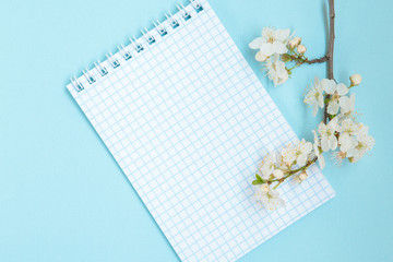 Spring concept. Floral, spring background. Template, frame. Blank sheet of notepad with white flowers on a blue background, space for text.