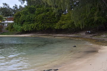 Locales contemplando la playa a la sombre de los árboles en Isla Mauricio