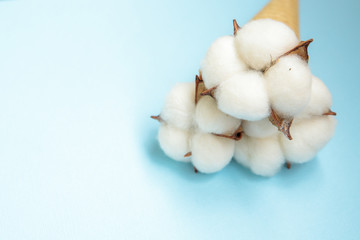 Ice cream cone with white cotton flowers on a blue background. Spring concept. Floral background. Flat lay. Space for text