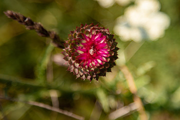 
Spring time