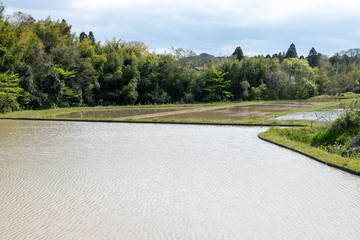 田植えが終わった田園風景　千葉県市原市　日本