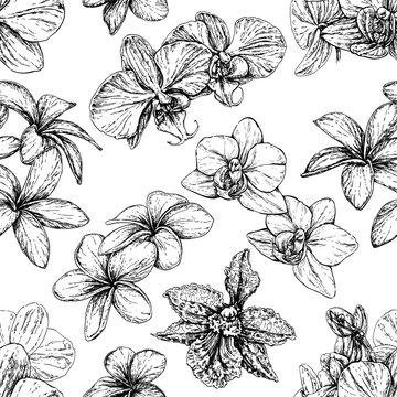 Hand drawn style seamless pattern with phalaenopsis orchid and plumeria flowers. Black and white vector illustration isolated on white