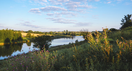 Landscape with river and trees
