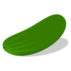 Cucumber vector cartoon illustration isolated on a white background.