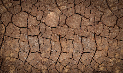 Natural Dry Brown Ground Texture.