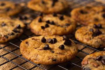 chocolate chip cookies