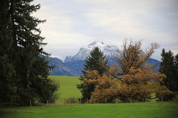 Fototapeta na wymiar Alpenlandschaft