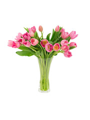 Pink tulips in a vase