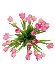 Pink tulips in a vase