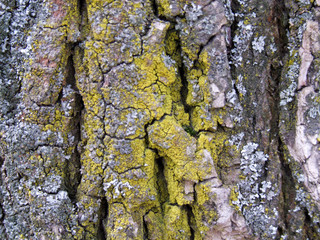 Texture background design pattern abstract.