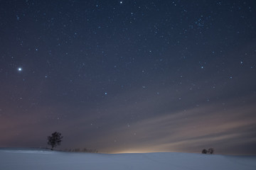 冬の丘の星空
