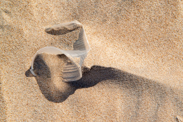 Fototapeta na wymiar Disposable plastic cup in the sand, causing pollution at Poço beach, near the city of João Pessoa, Paraíba, Brazil on September 29, 2012