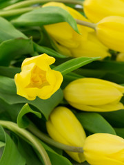 Fototapeta premium Yellow tulips in a vase 