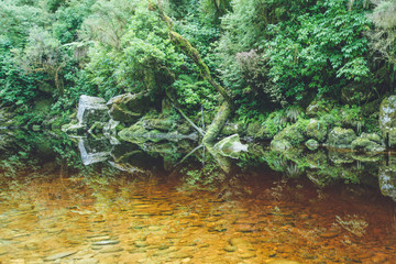 oparara basin, kahurangi national park, karamea, new zealand