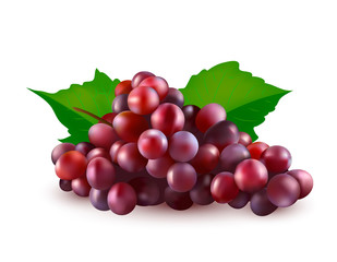 Vector red grapes illustration. 3d realistic vector red bunch of grapes isolated on white background.