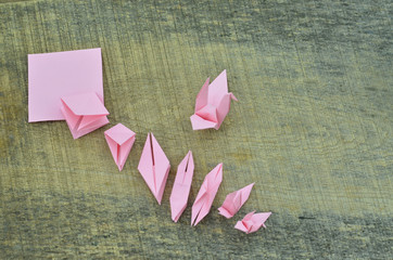 Steps to fold paper cranes