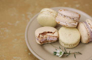 Yellow homemade macarons with blossom are lying on the brown plate on the golden background.