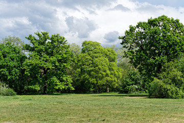 Bois de Vincennes