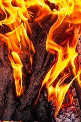 Fiery background, texture, fire closeup
