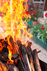 Fiery background, texture, fire closeup