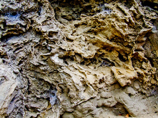 Texture background design pattern abstract.