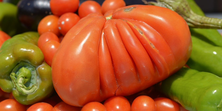 ortaggi freschi appena raccolti