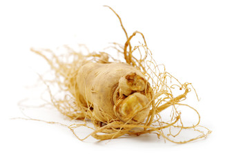 ginseng isolated on white background