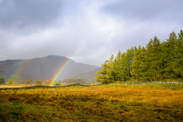 Rainbow over a stand of trees in Little Langdale, Cumbria, United Kingdom