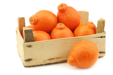 fresh and colorful  Minneola tangelo fruit in a wooden crate on a white background