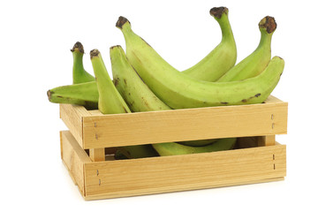 unripe baking bananas (plantain bananas) in a wooden crate on a white background © tpzijl