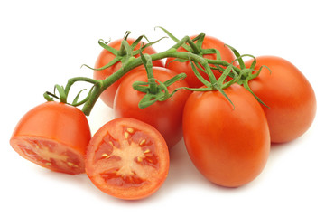 fresh and colorful italian roma tomatoes on the vine and a cut half on a white background