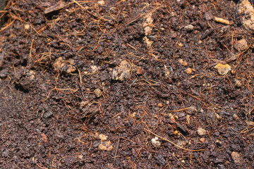 soil lots of humus