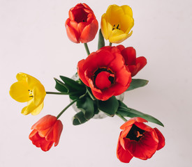 Naklejka premium Glass vase full red and yellow tulips.