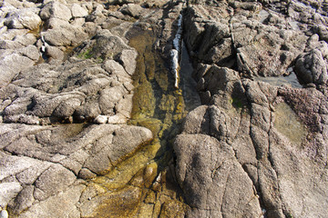 Sur les rochers de la plage de Loctudy en Bretagne dans le Finistère apparaissent des bassines d'eau de mer créées par la mer lorsqu'elle est montée et qu'ensuite elle s'est retirée