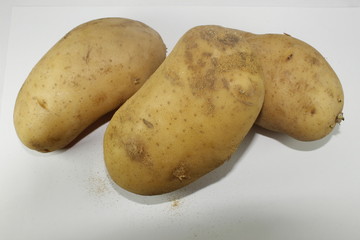 Potatoes  on a white background