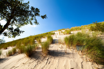 Wydmy słowiński park narodowy łeba piasek lato morze bałtyckie - obrazy, fototapety, plakaty